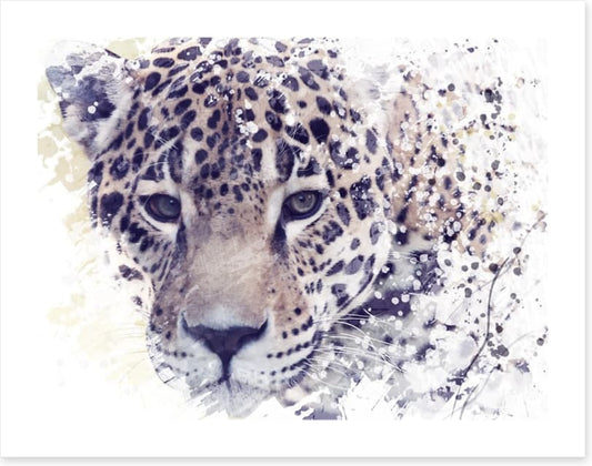 Well spotted
