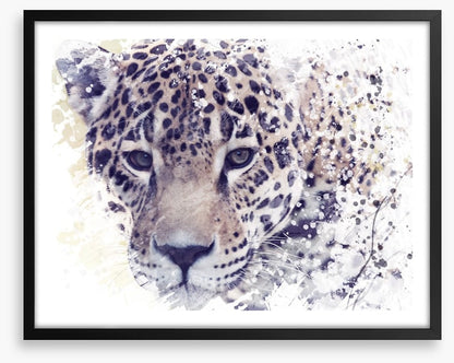 Well spotted