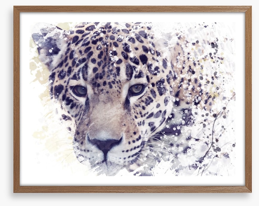 Well spotted