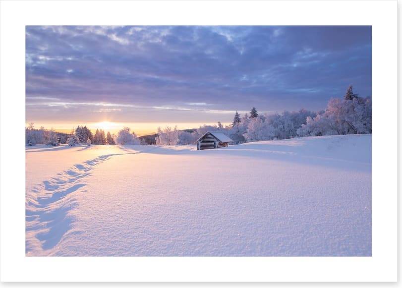Snowbound