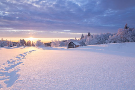 Snowbound