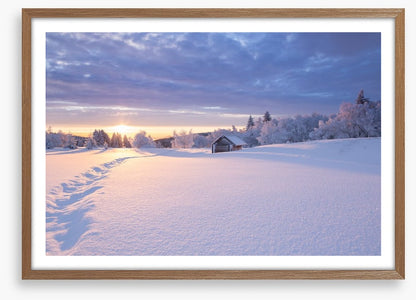 Snowbound