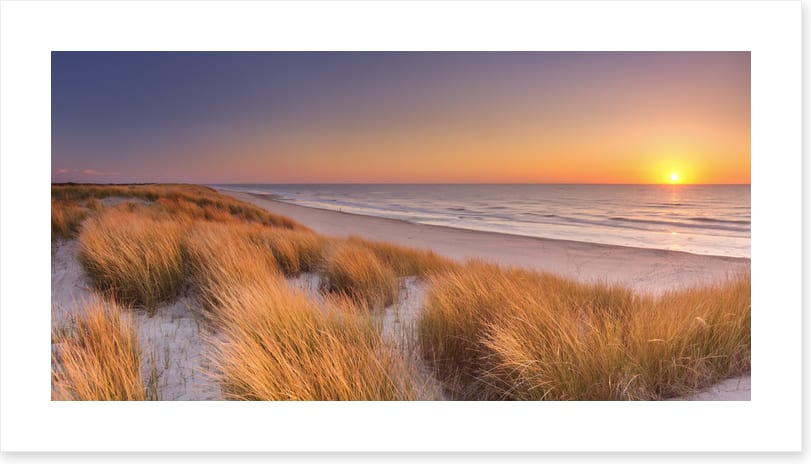 Goodnight golden dunes