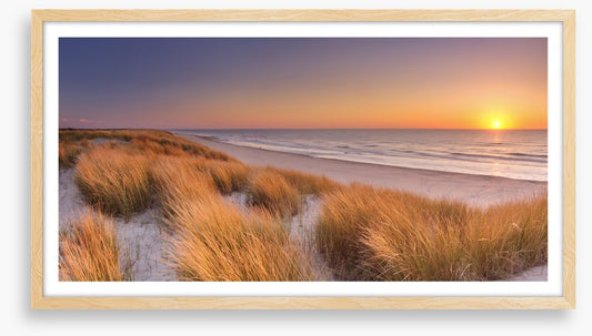 Goodnight golden dunes
