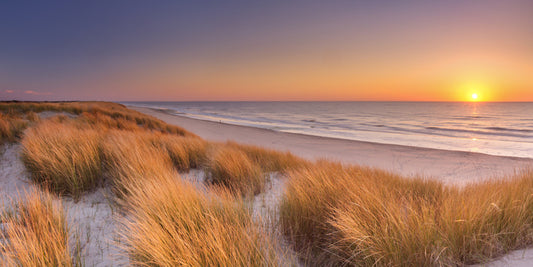 Goodnight golden dunes