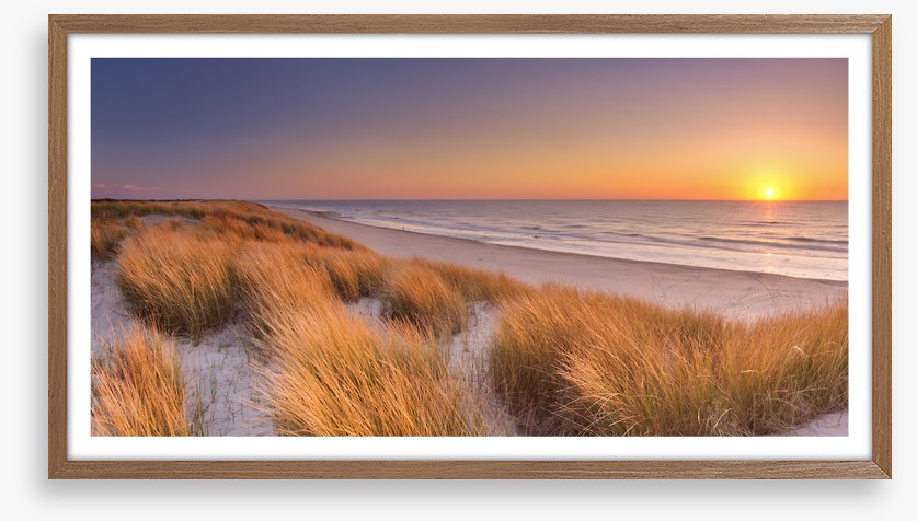 Goodnight golden dunes
