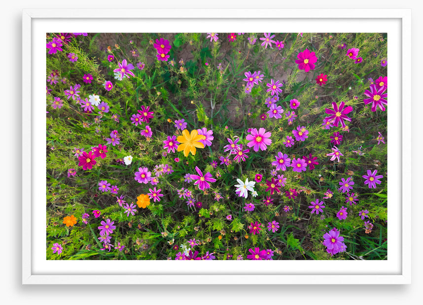 Burst into life