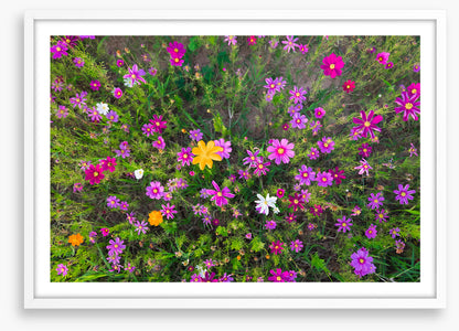 Burst into life