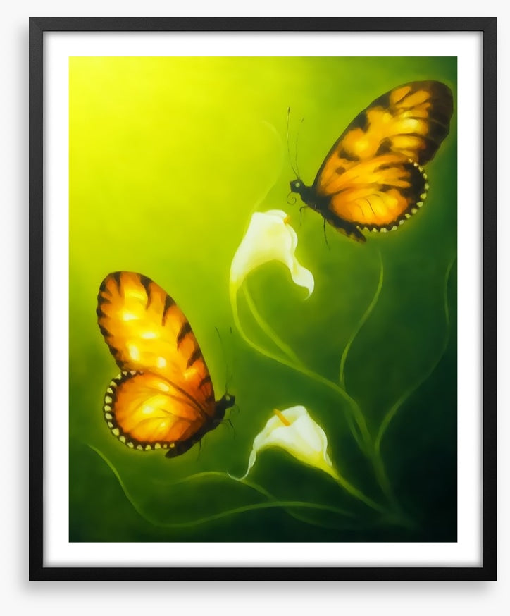 Butterflies