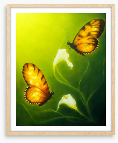 Butterflies
