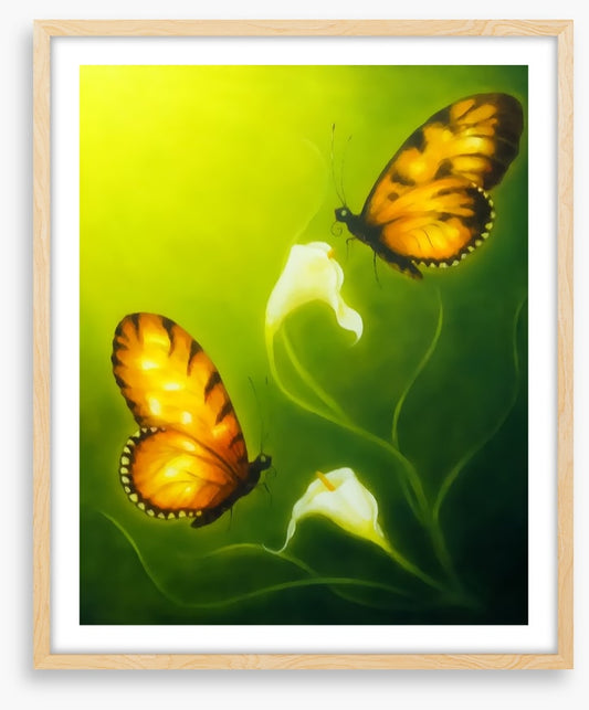 Butterflies