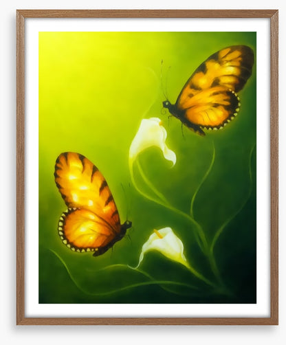 Butterflies
