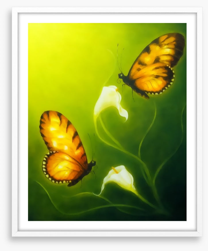 Butterflies