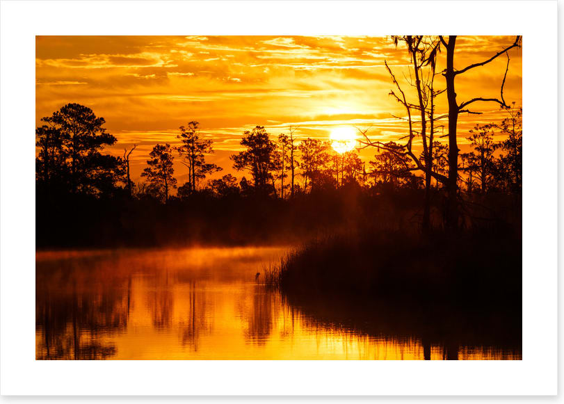 Sunsets / Rises