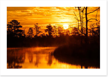 Sunsets / Rises
