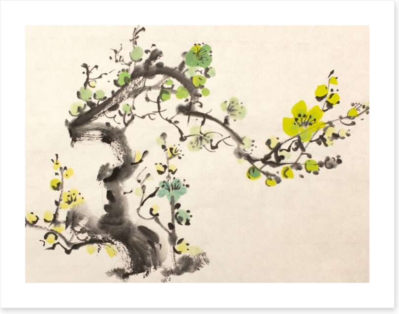 Green plum blossom