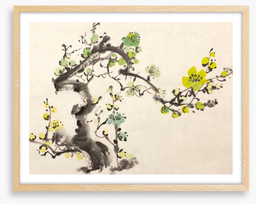 Green plum blossom