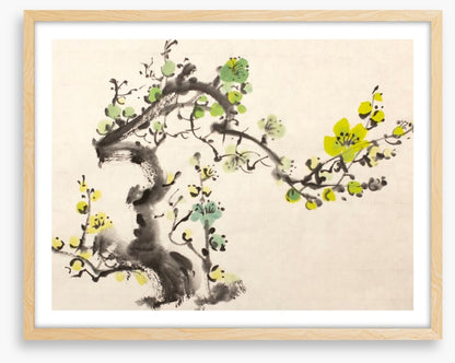 Green plum blossom