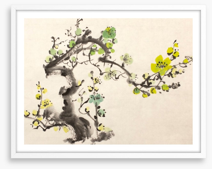 Green plum blossom