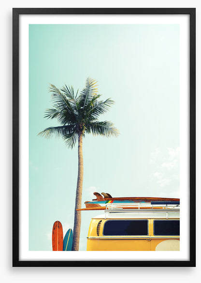 Surfers palm