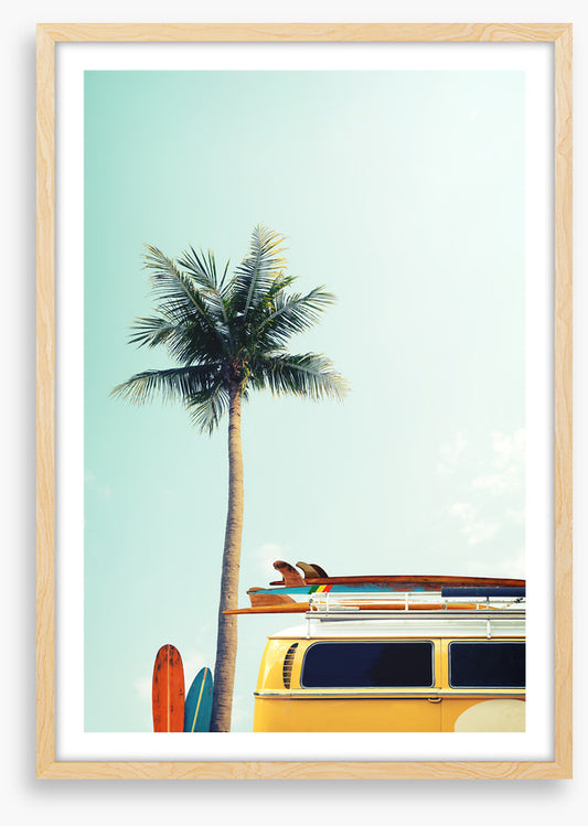 Surfers palm