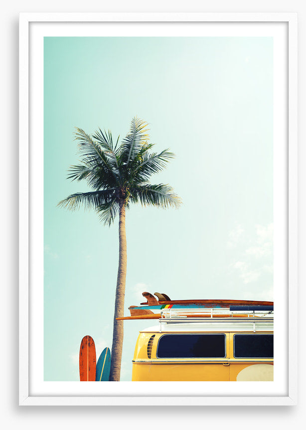 Surfers palm