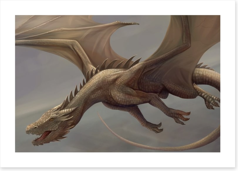 Dragons