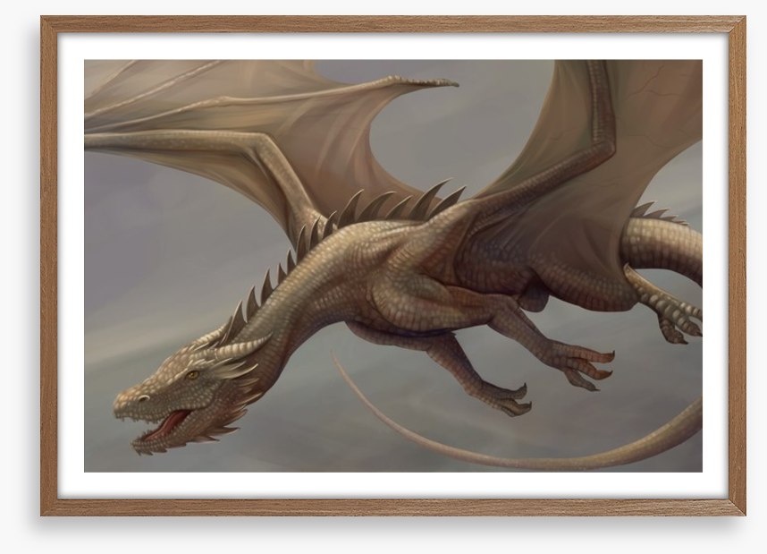 Dragons