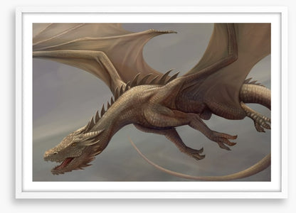 Dragons