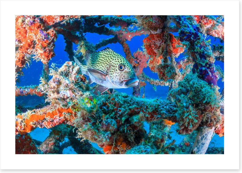 Underwater