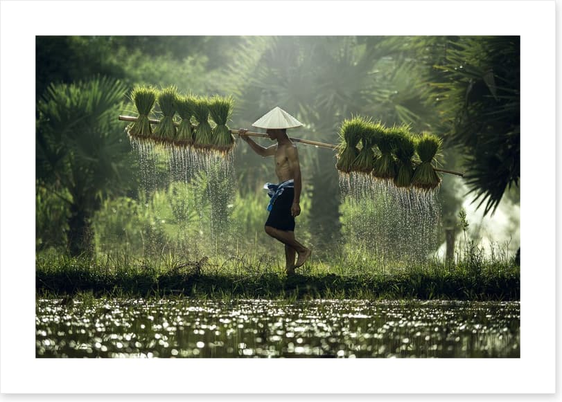 Asia