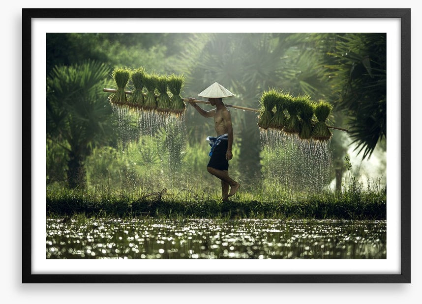Asia