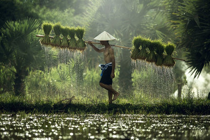 Asia