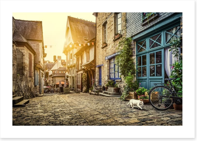 The cobblestone cat