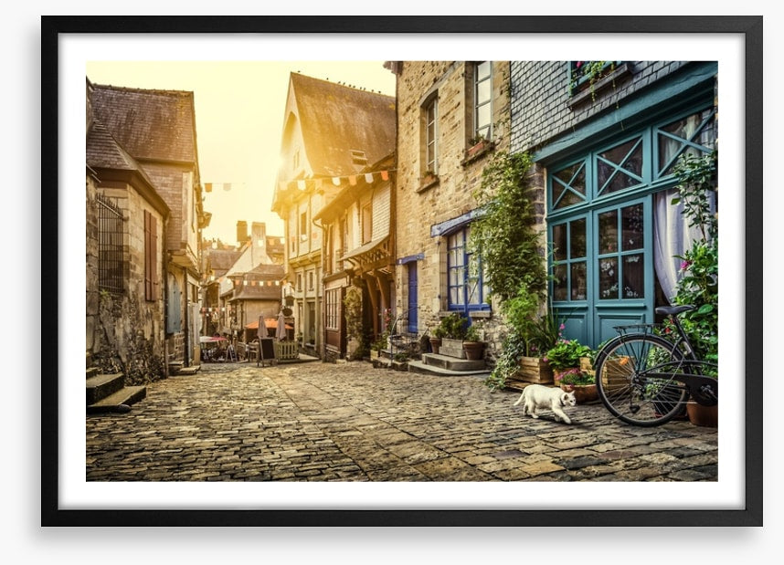 The cobblestone cat