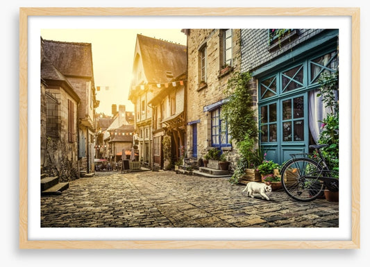 The cobblestone cat