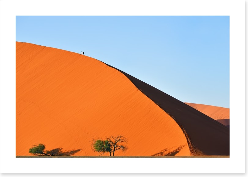 On top of the dune