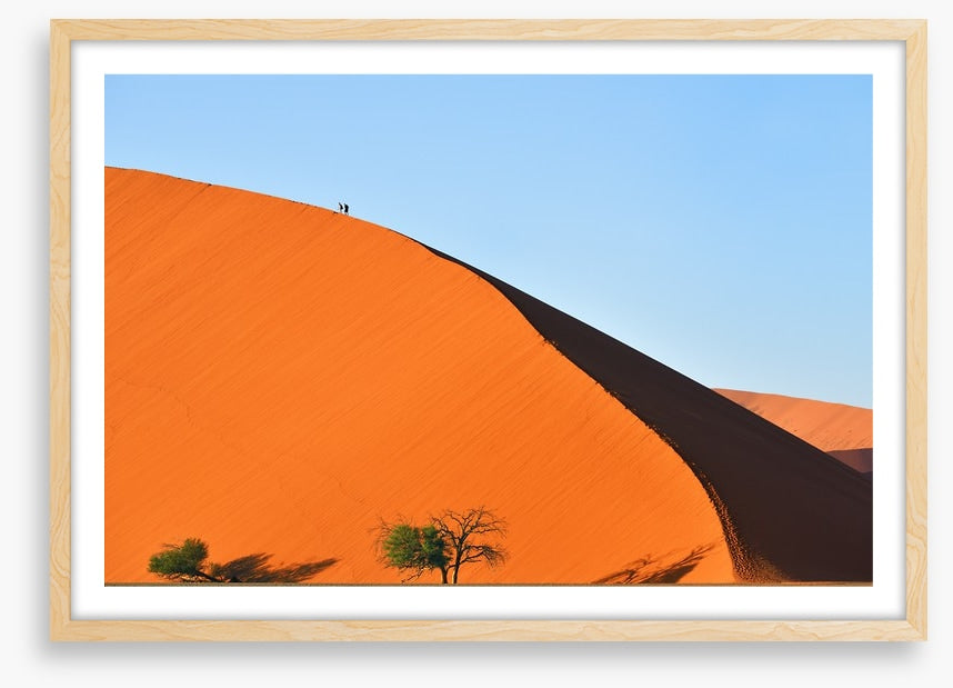 On top of the dune