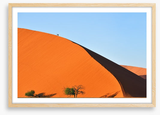 On top of the dune