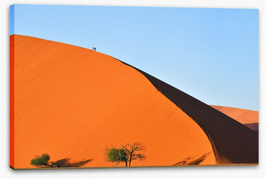 On top of the dune