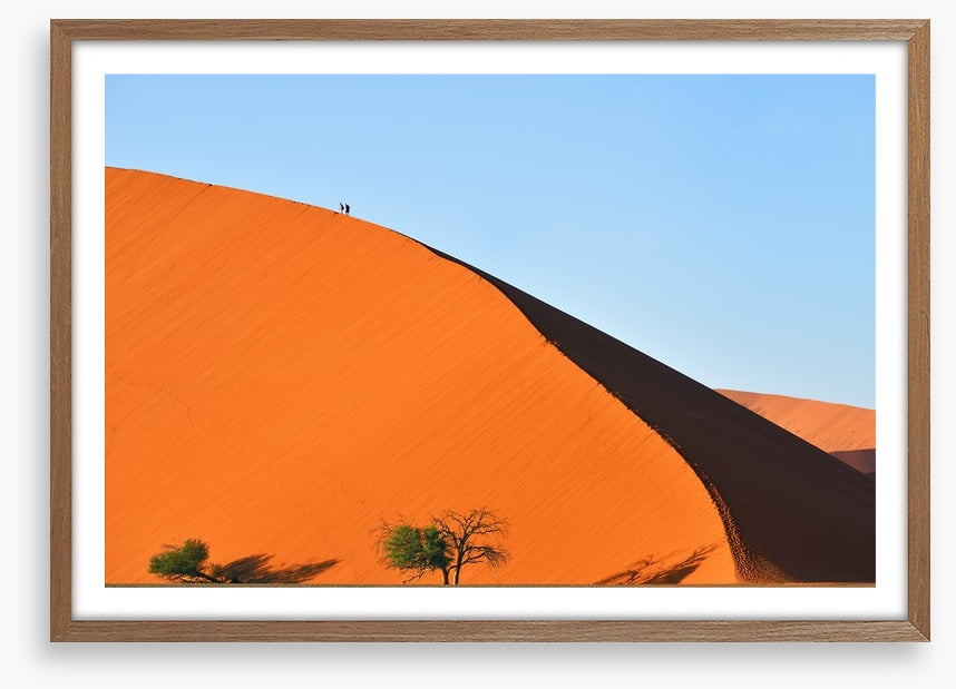On top of the dune
