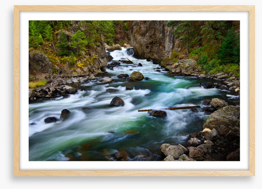 Whitewater wilderness