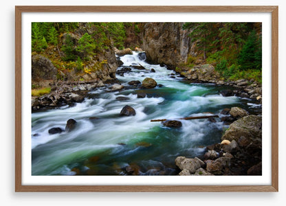 Whitewater wilderness