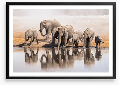 The elephant waterhole