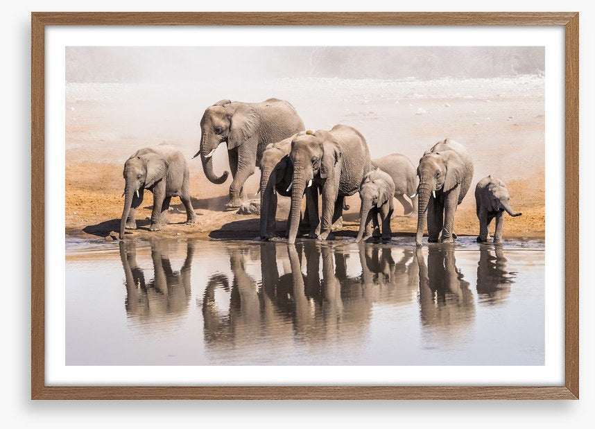 The elephant waterhole