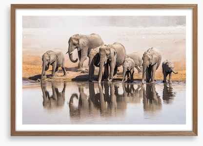 The elephant waterhole