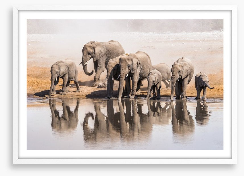 The elephant waterhole