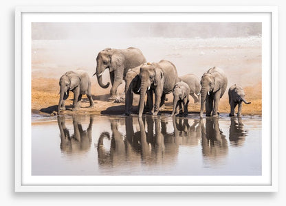 The elephant waterhole