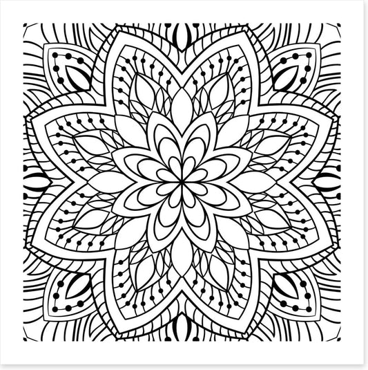 Colour me flower