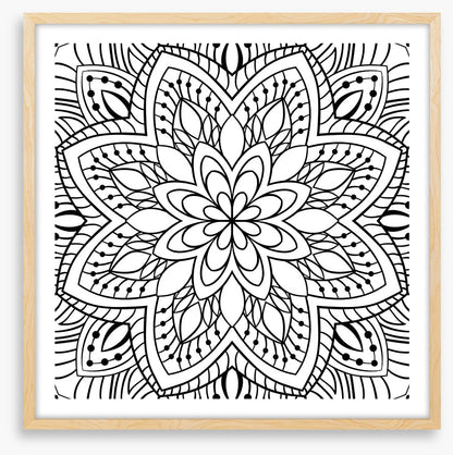 Colour me flower